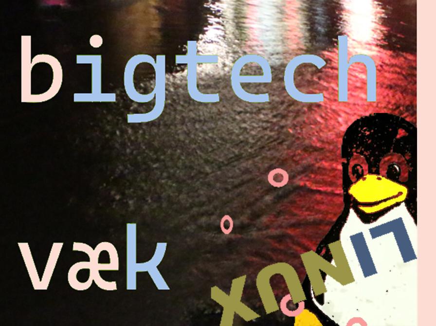 Farvel til BigTech